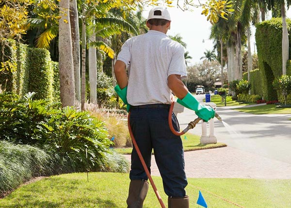 About Adams OR Pest Control Pros